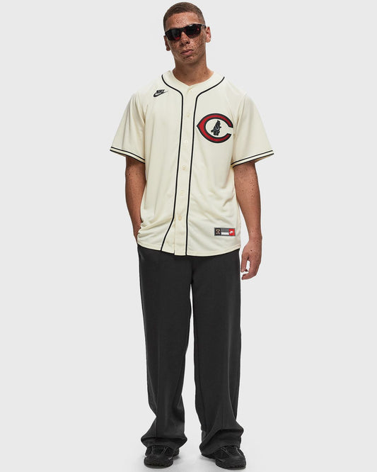 Chicago Cubs Home Jersey